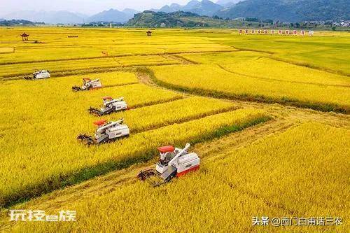 中国粮食储备够吃几年时间(我国目前的存粮能支撑多久)-图片1